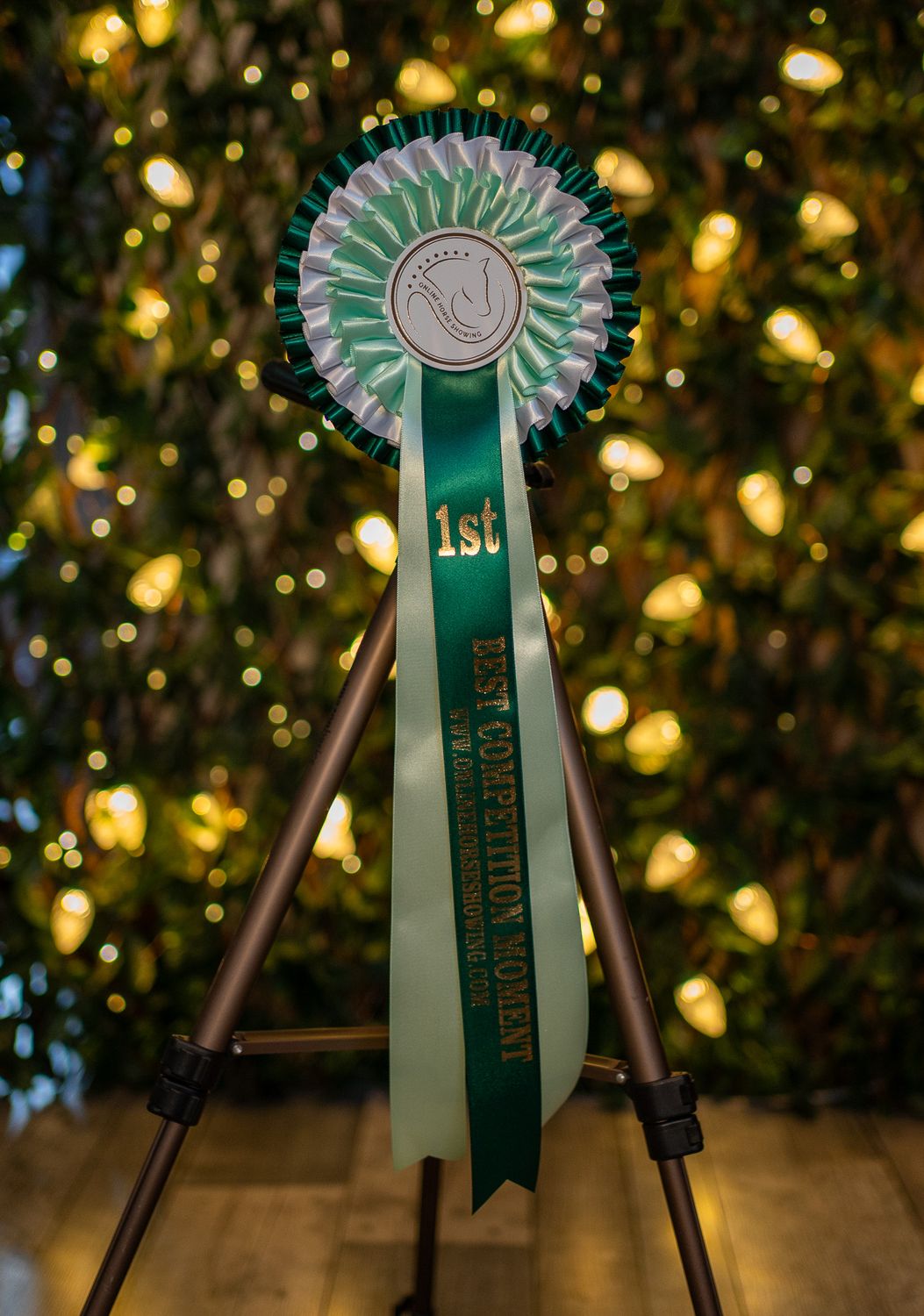 CLASS 2: BEST COMPETITION MOMENT