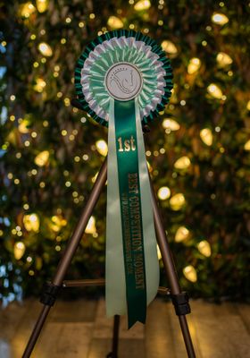 CLASS 2: BEST COMPETITION MOMENT