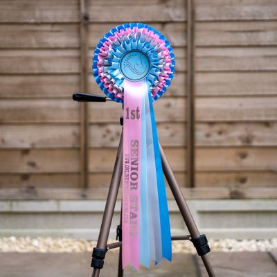 CLASS 2: SENIOR STARS