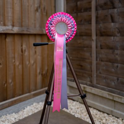 CLASS 2: PHOTOGRAPHED IN THE SHOW RING