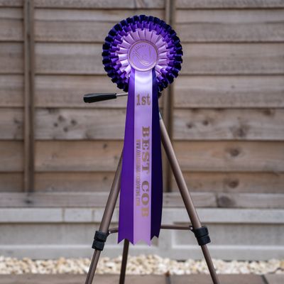 CLASS 2: BEST COB