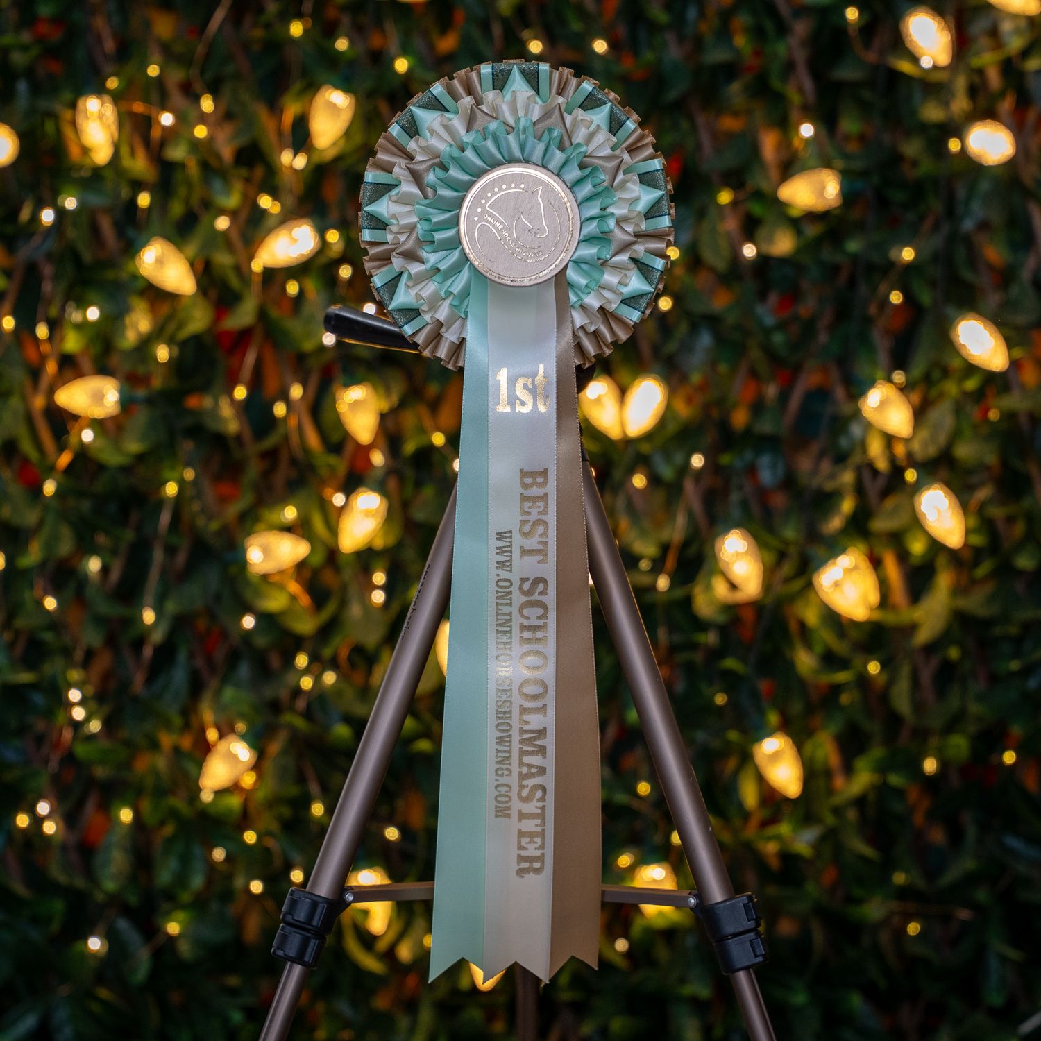 CLASS 2: BEST SCHOOLMASTER