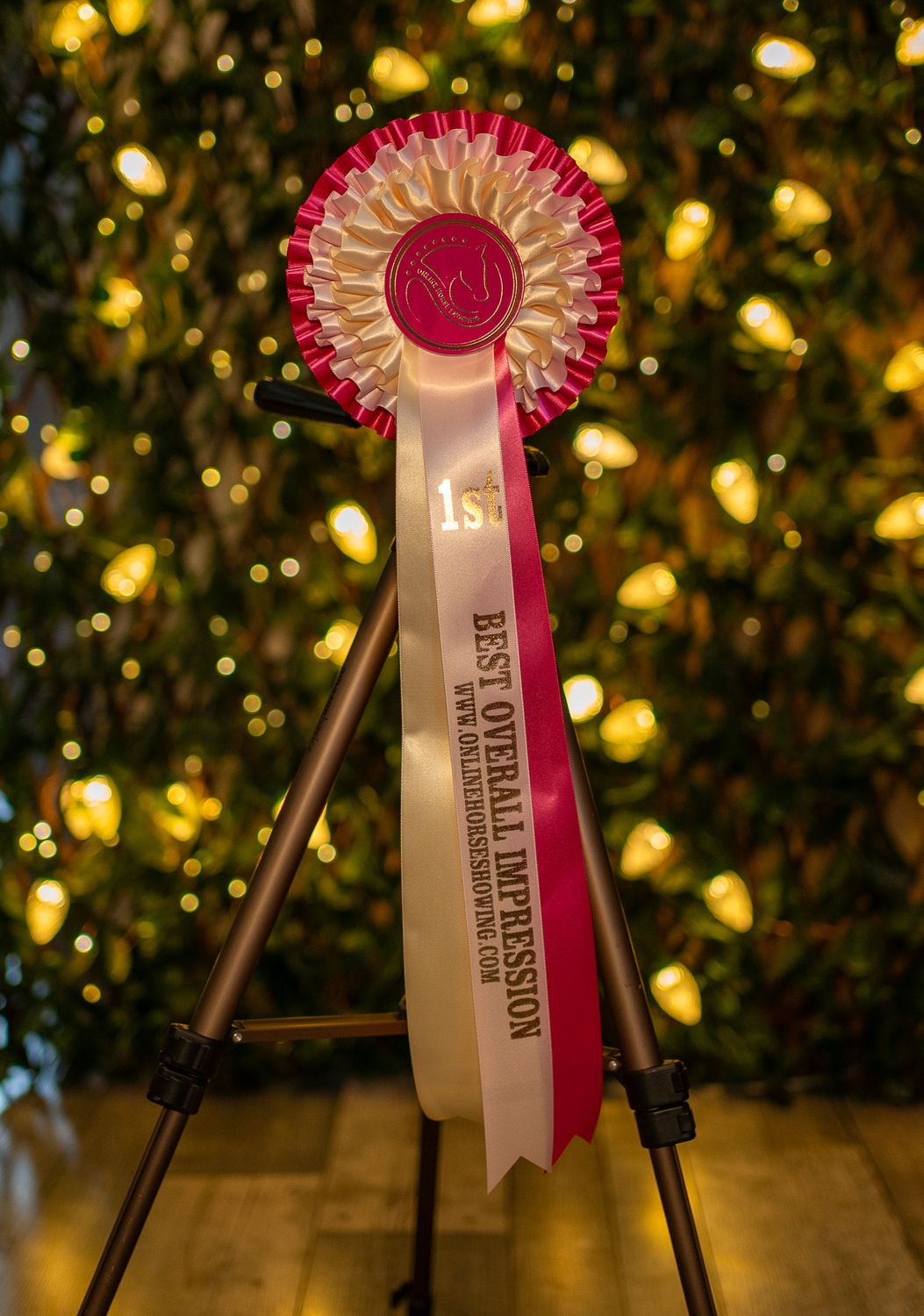 CLASS 4: BEST OVERALL IMPRESSION