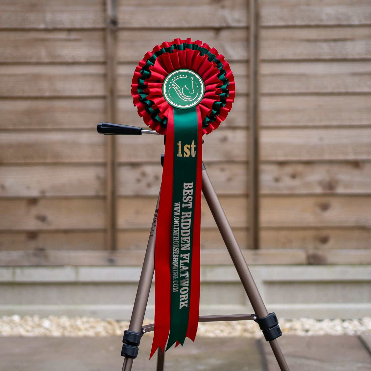 CLASS 4: BEST RIDDEN FLATWORK