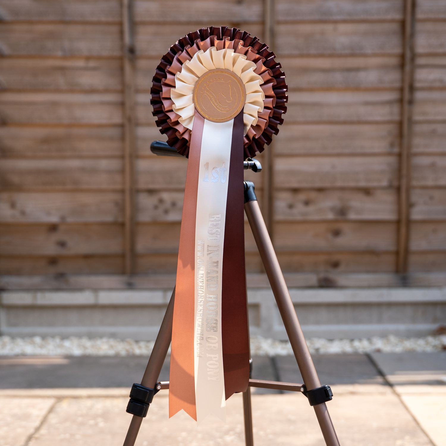 CLASS 4: BEST IN-HAND HORSE OR PONY