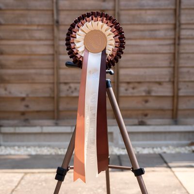CLASS 4: BEST IN-HAND HORSE OR PONY