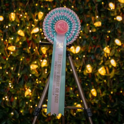 CLASS 4: BEST SHOW HORSE OR PONY