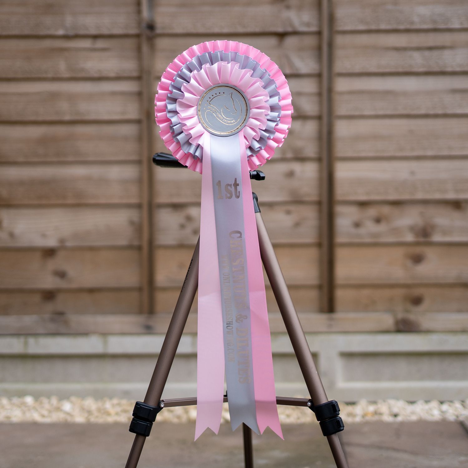 CLASS 5: CHESTNUTS &amp; DILUTES