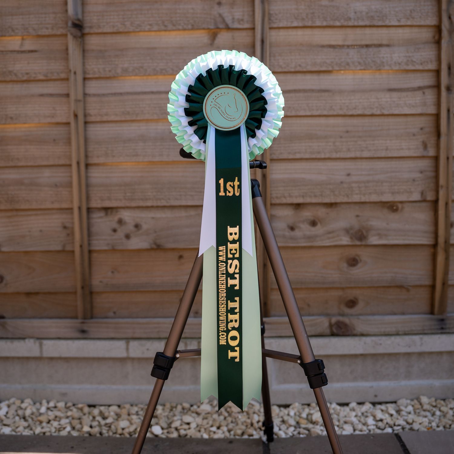 CLASS 5: BEST TROT