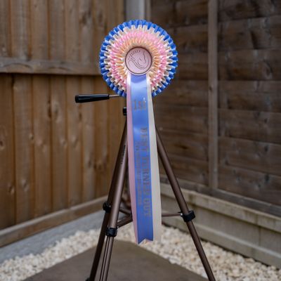 CLASS 5: BEST TURNED OUT