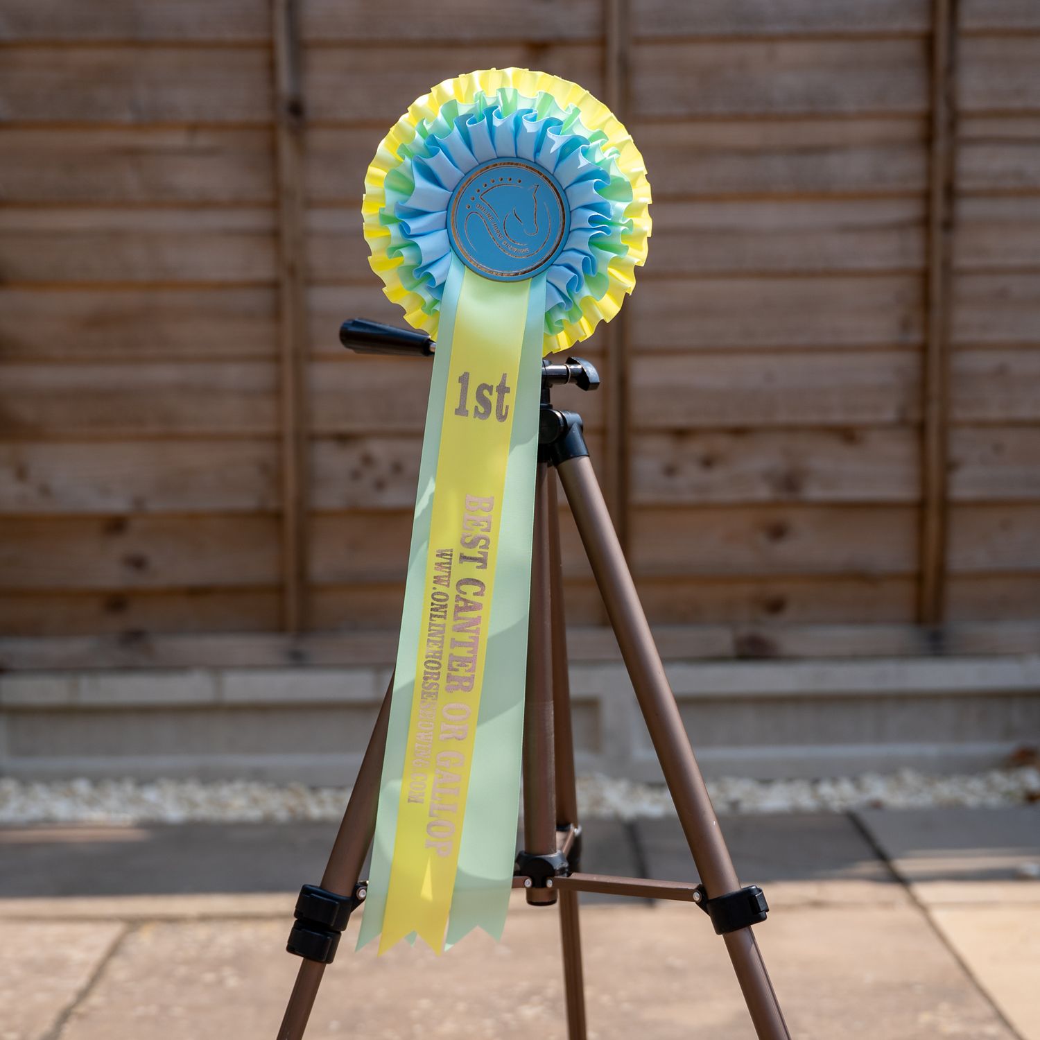 CLASS 5: BEST CANTER OR GALLOP