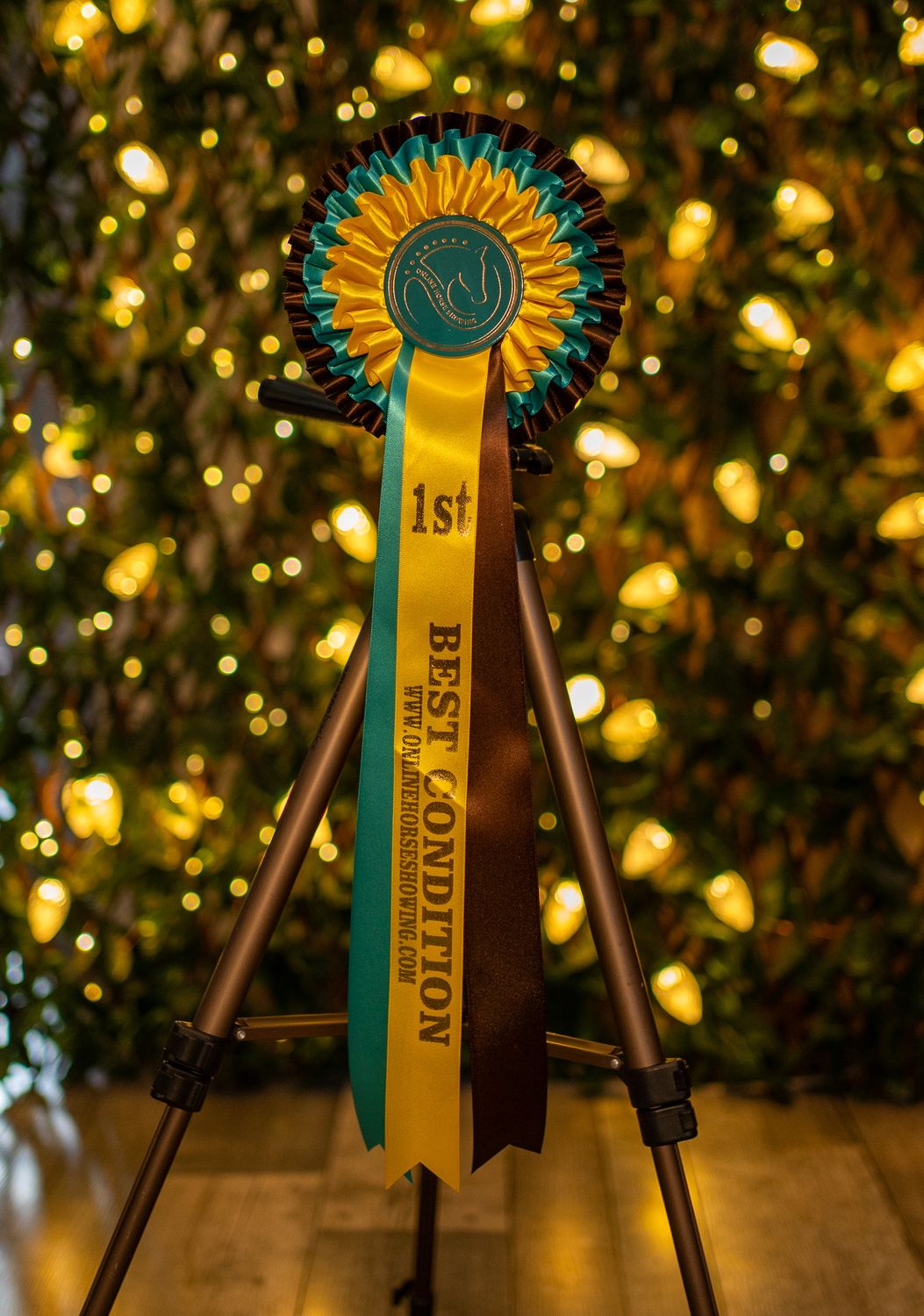 CLASS 6: BEST CONDITION