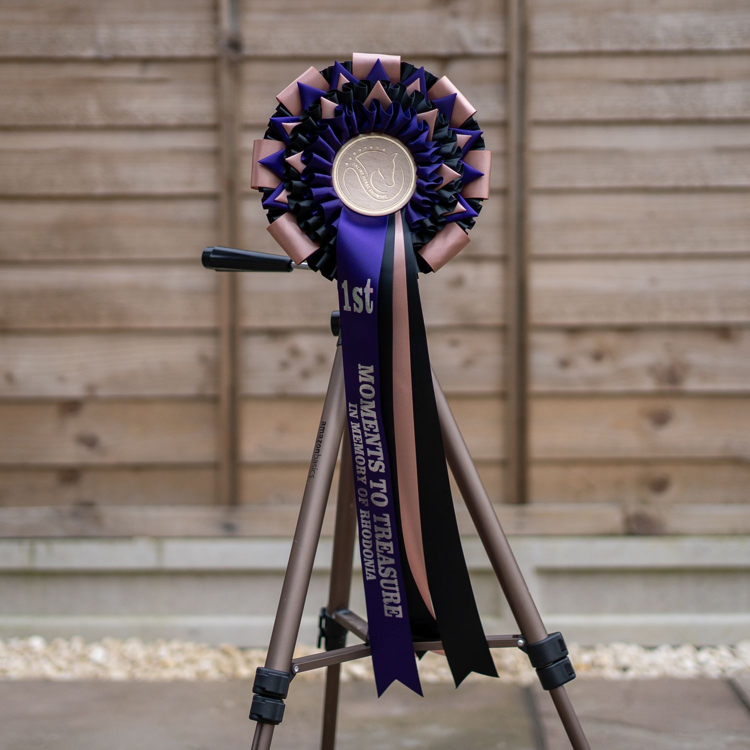 CLASS 6: MOMENTS TO TREASURE