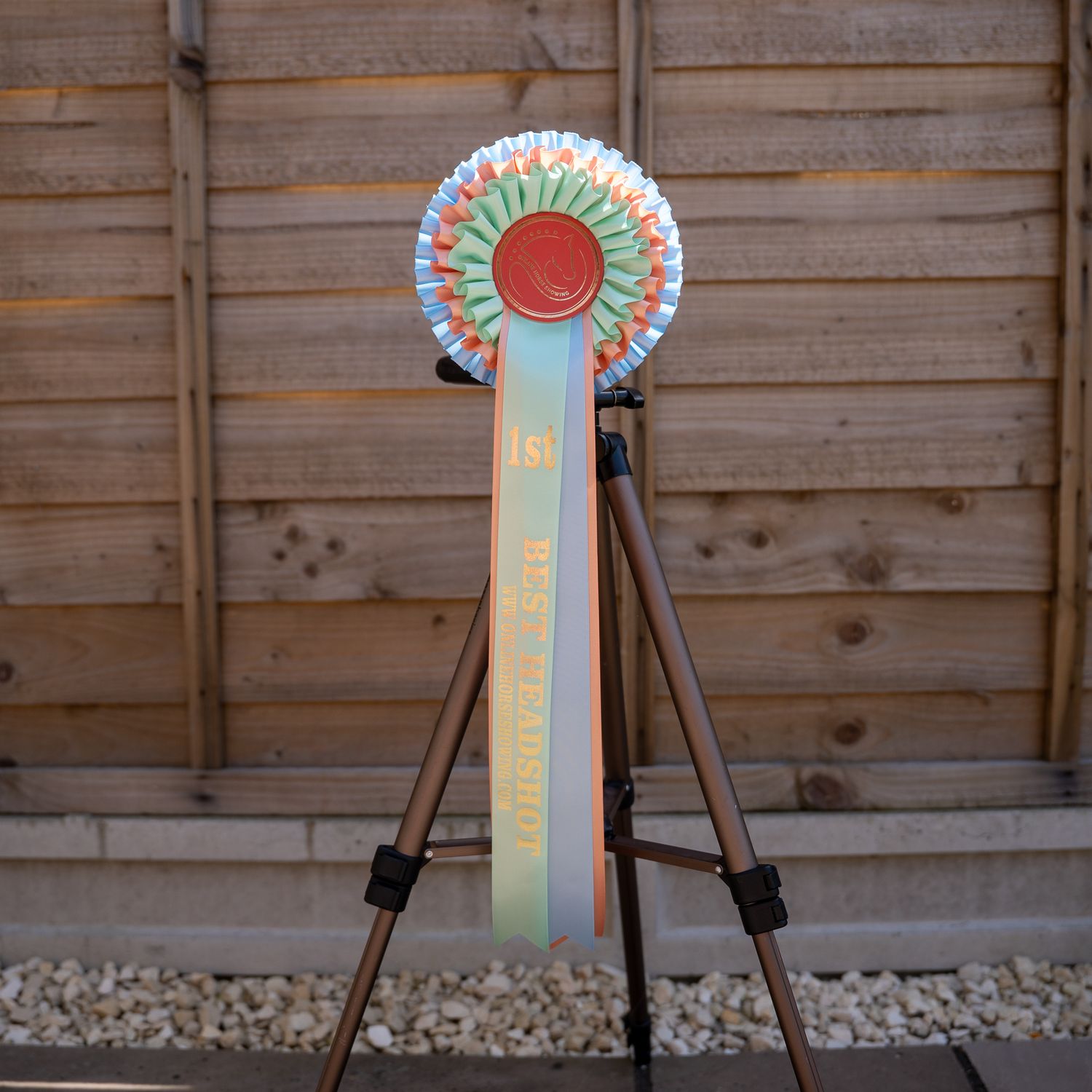 CLASS 6: BEST HEADSHOT