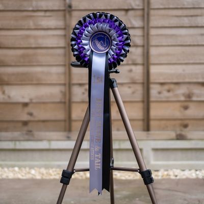 CLASS 7: BEST MANE &amp; TAIL