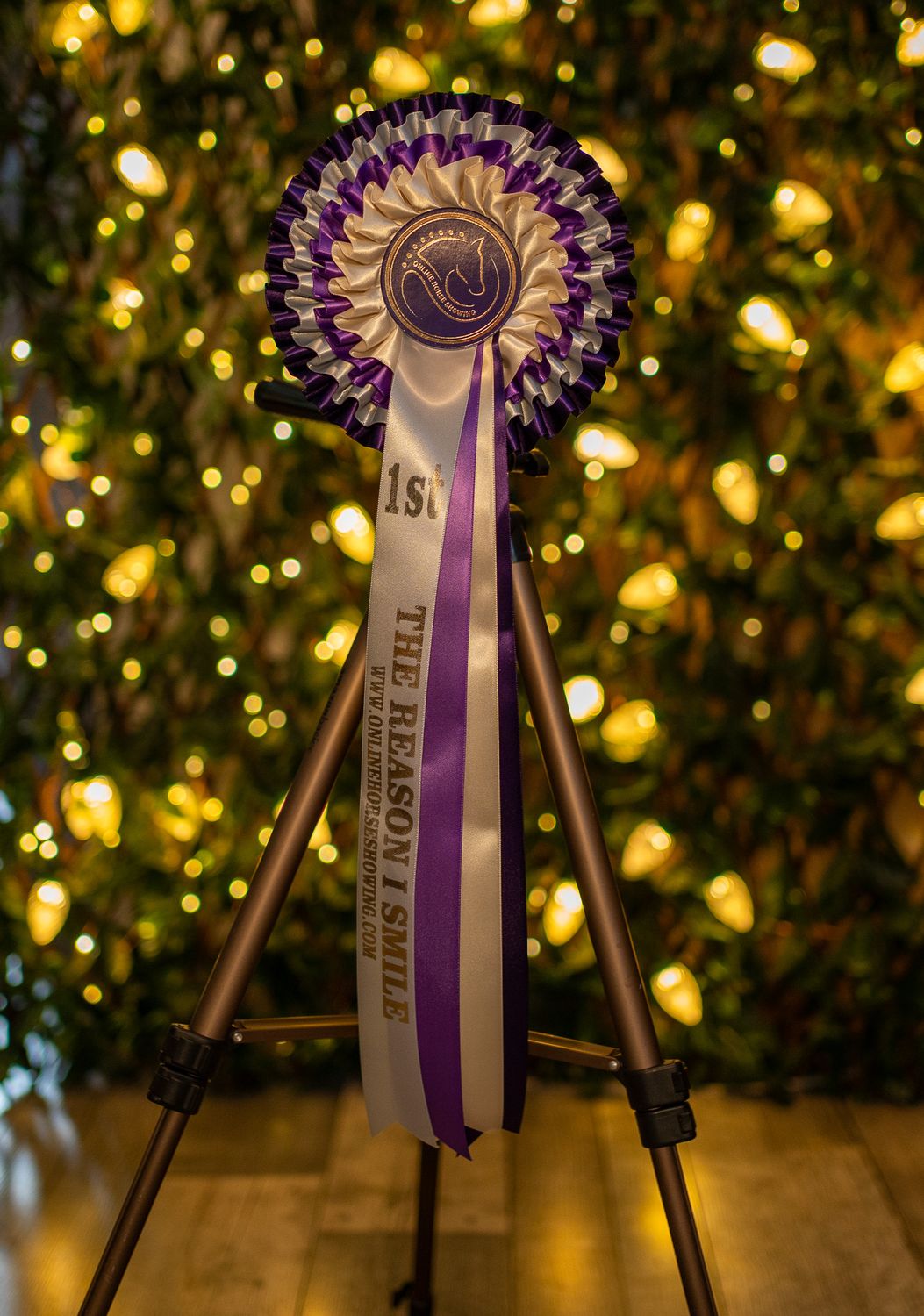 CLASS 8: THE REASON I SMILE