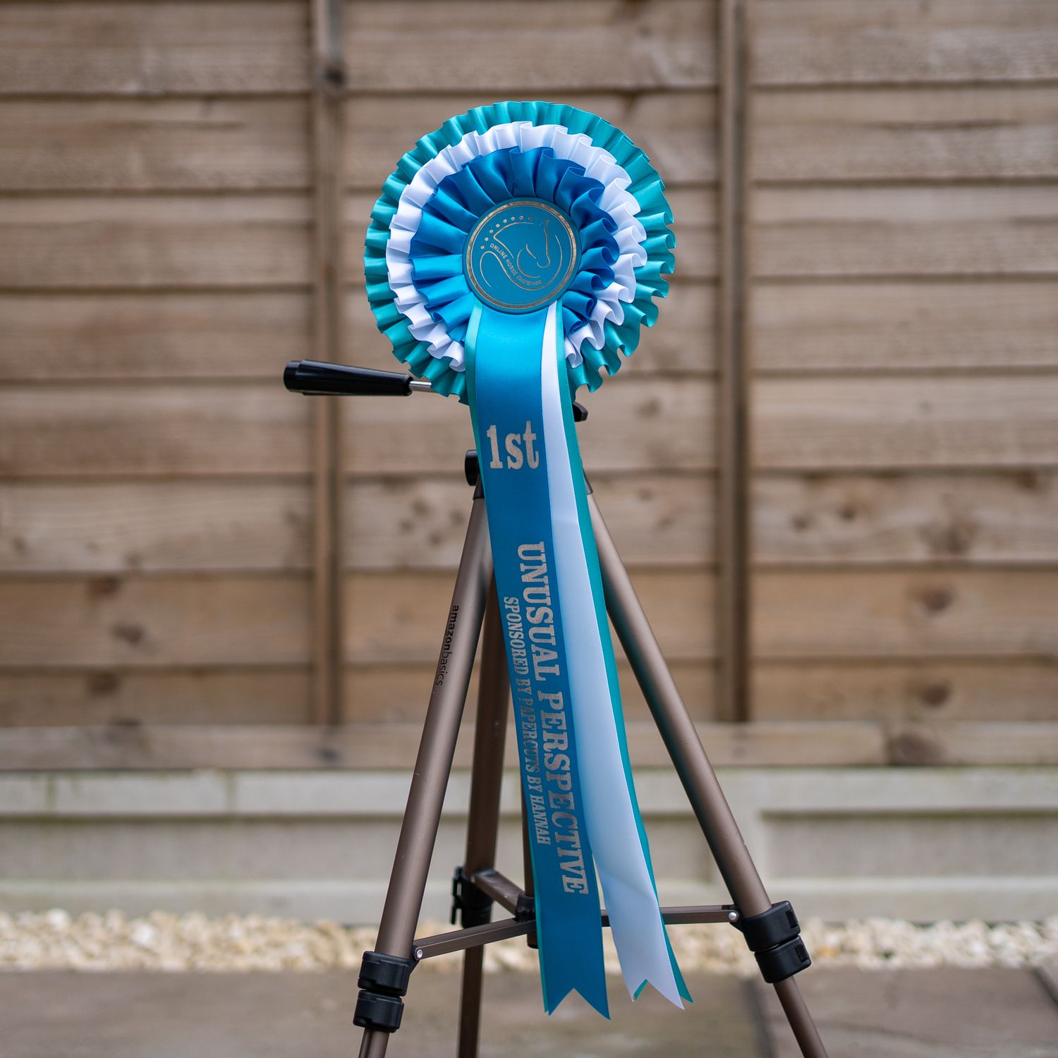 CLASS 8: UNUSUAL PERSPECTIVE