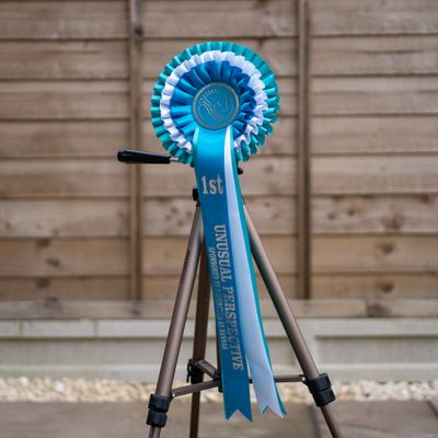 CLASS 8: UNUSUAL PERSPECTIVE