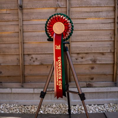 CLASS 8: TONGUES OUT