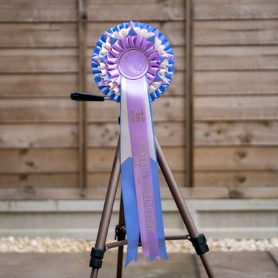 CLASS 9: EASTER &amp; SPRINGTIME