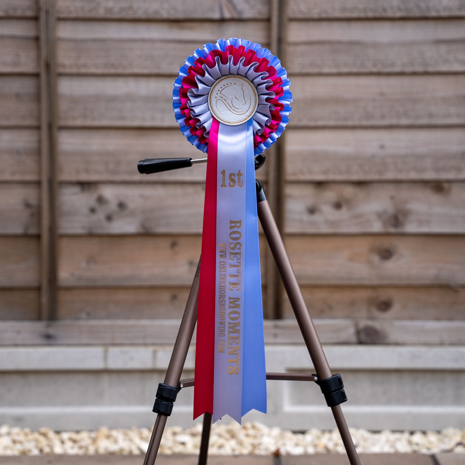 CLASS 9: ROSETTE MOMENTS