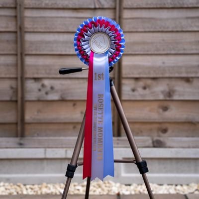 CLASS 9: ROSETTE MOMENTS