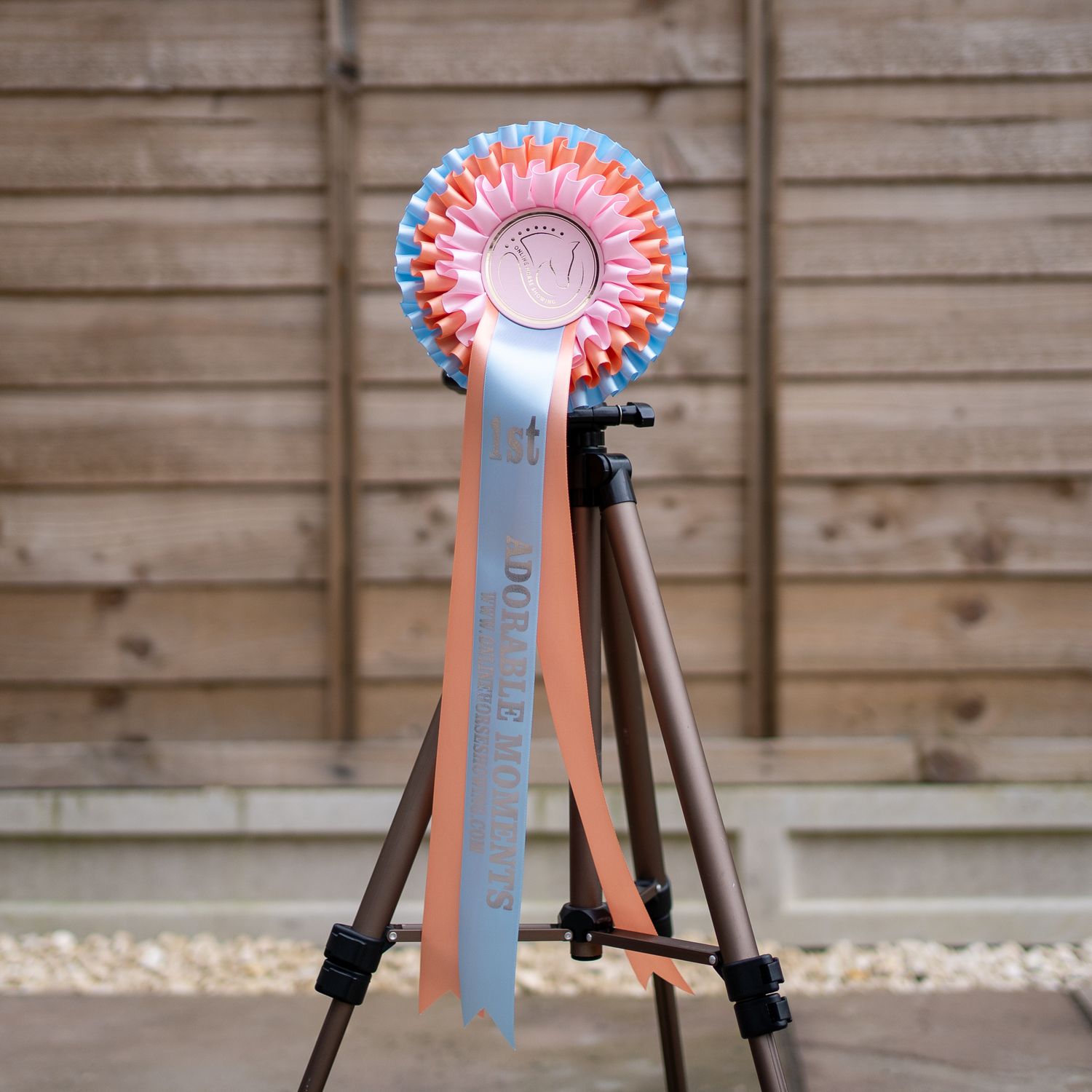 CLASS 17: ADORABLE MOMENTS