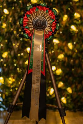 PET CLASS 3: SENIOR SWEETHEARTS