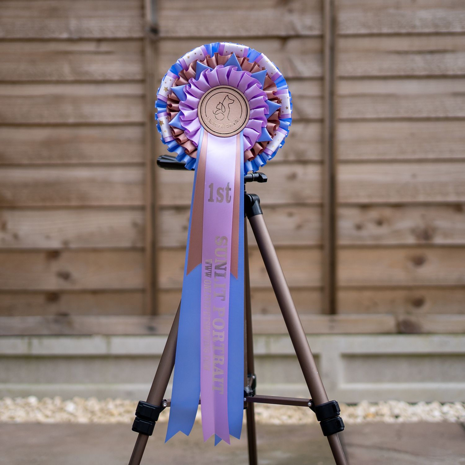 PET CLASS 3: SUNLIT PORTRAIT