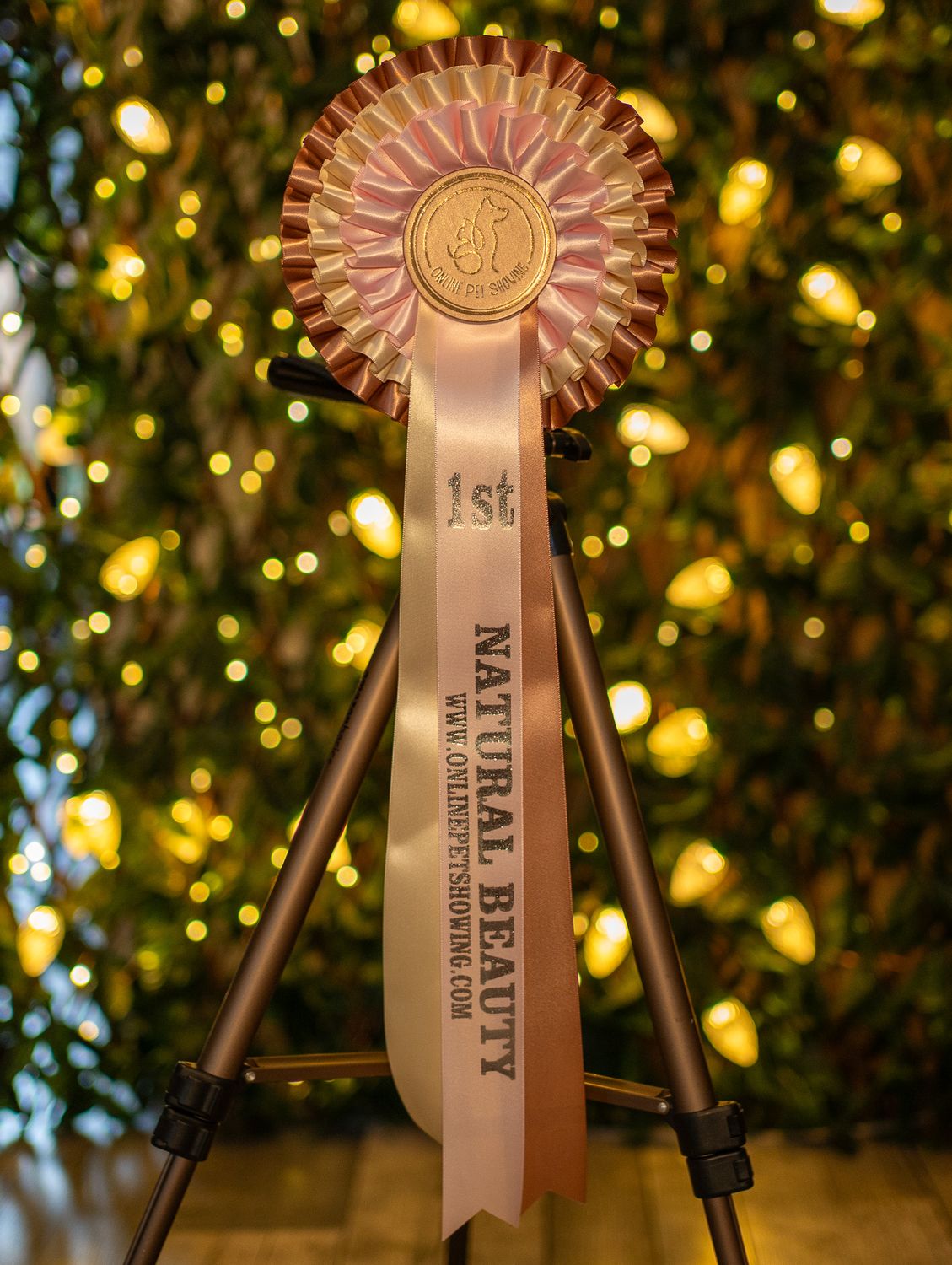 PET CLASS 10: NATURAL BEAUTY