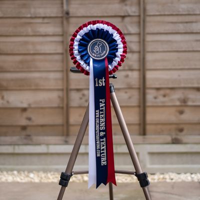 PET CLASS 10: PATTERNS &amp; TEXTURE