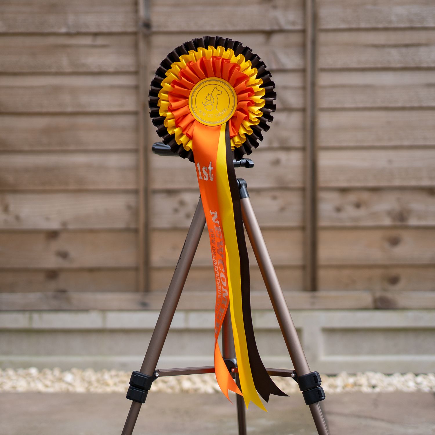 PET CLASS 14: NEWCOMERS