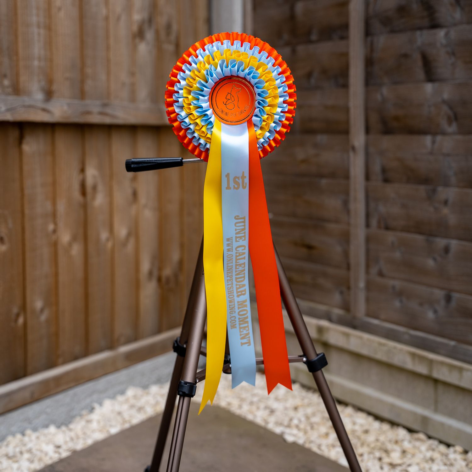 PET CLASS 14: JUNE CALENDAR MOMENT