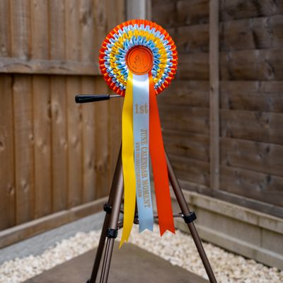 PET CLASS 14: JUNE CALENDAR MOMENT