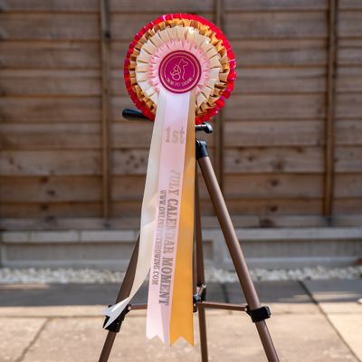 PET CLASS 14: JULY CALENDAR MOMENT