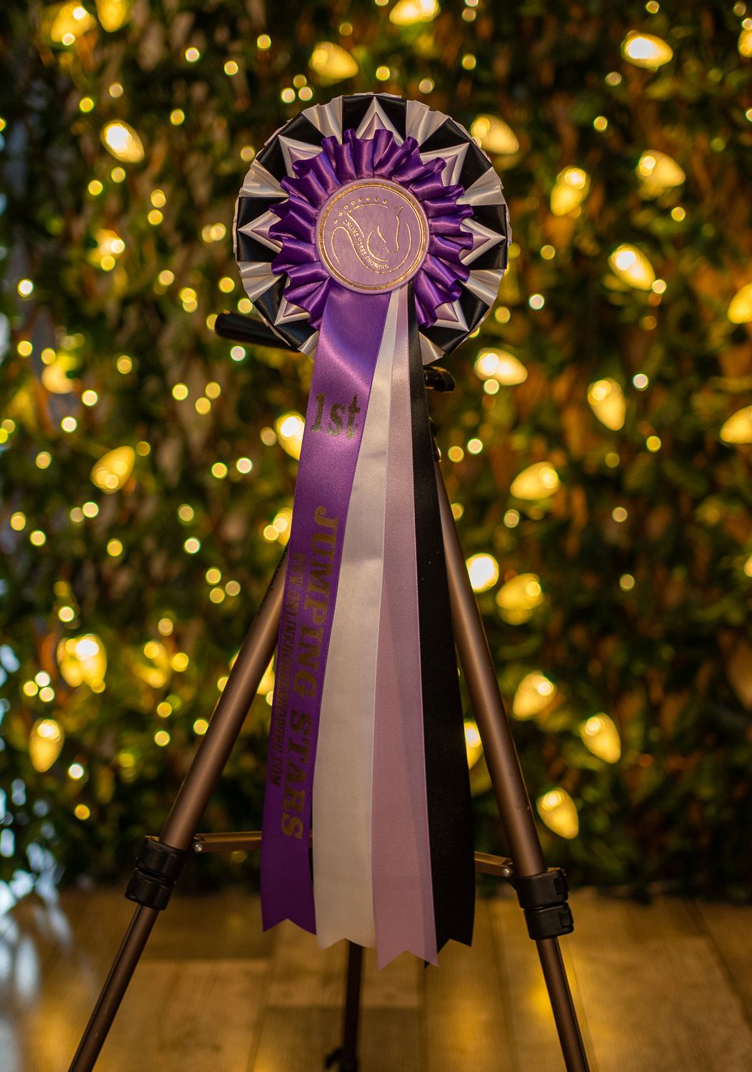 CLASS 3: JUMPING STARS