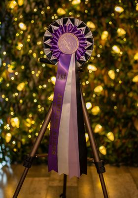 CLASS 3: JUMPING STARS