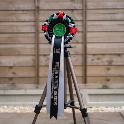 CLASS 3: WELSH &amp; IRISH BREEDS