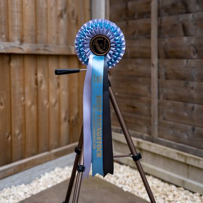 CLASS 3: BEST YOUNGSTOCK (3 OR YOUNGER)