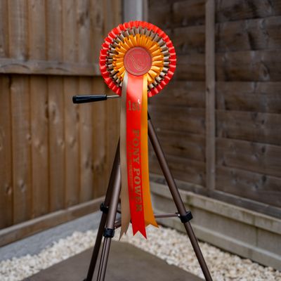 CLASS 10: PONY POWER (UP TO 14.2HH)