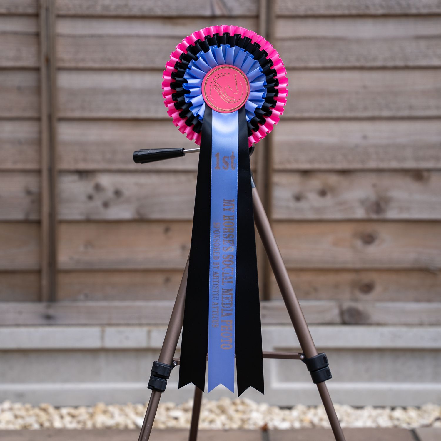 CLASS 10: MY HORSE'S SOCIAL MEDIA PHOTO