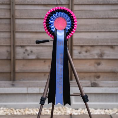 CLASS 10: MY HORSE'S SOCIAL MEDIA PHOTO