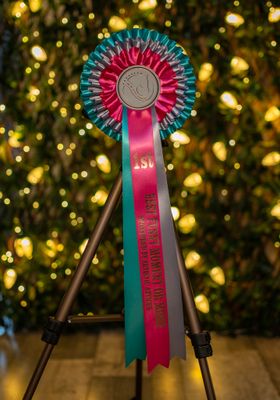 CLASS 12: BEST FUNNY MOMENT OR MEME