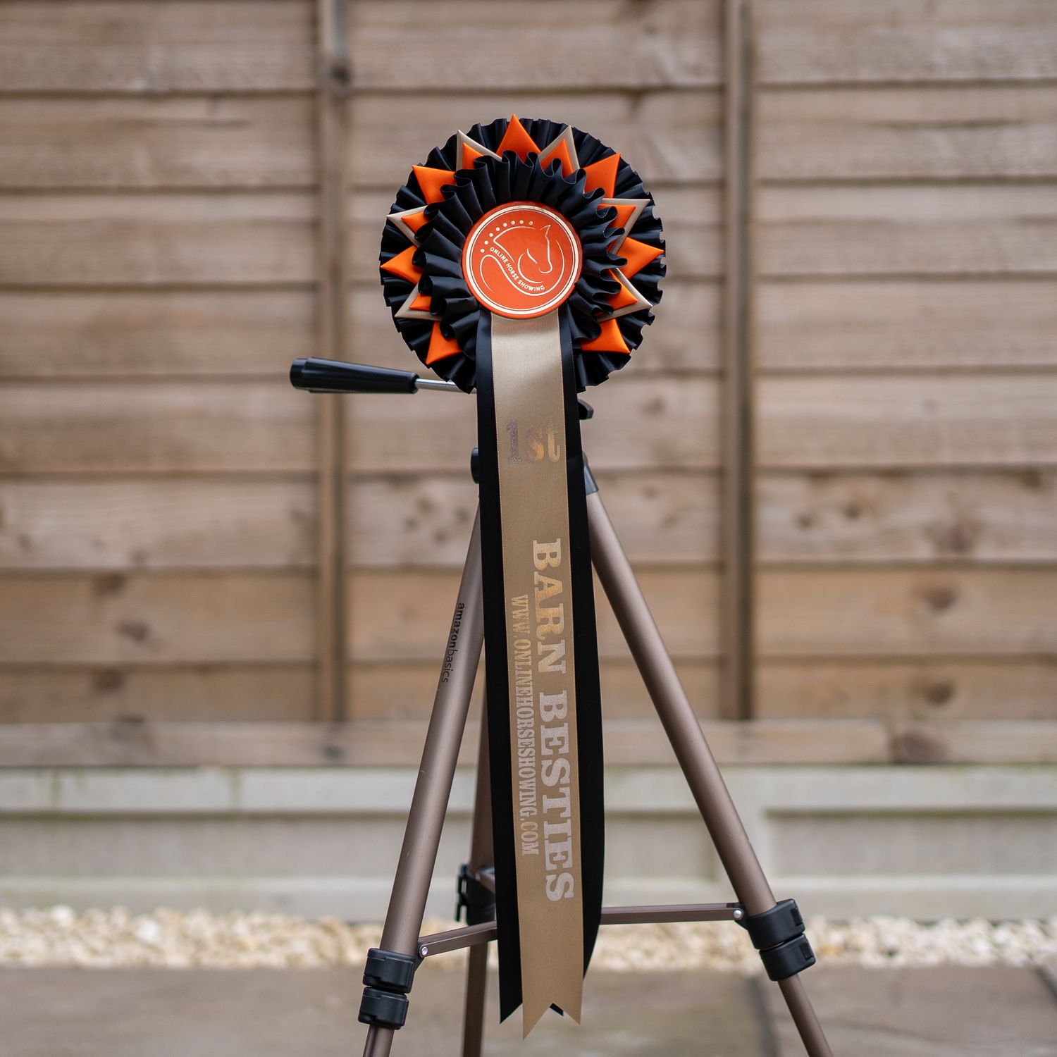 CLASS 12: BARN BESTIES