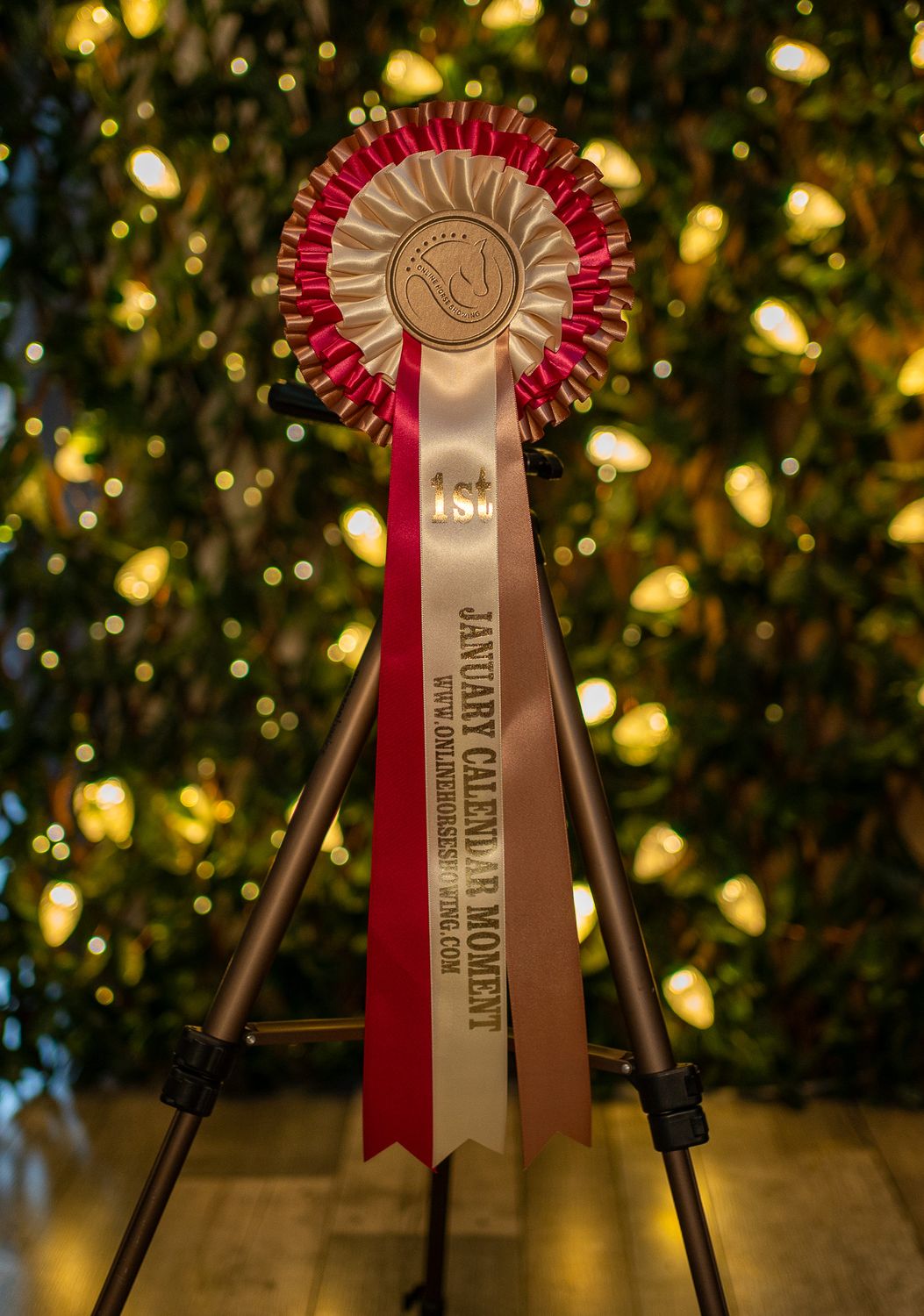 CLASS 15: JANUARY CALENDAR MOMENT