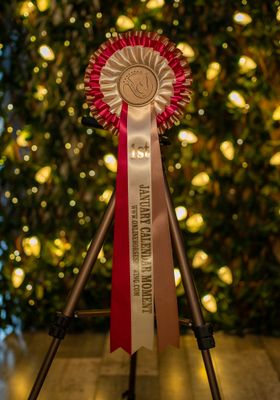 CLASS 15: JANUARY CALENDAR MOMENT