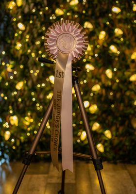 CLASS 18: THE JUDGE'S CHOICE