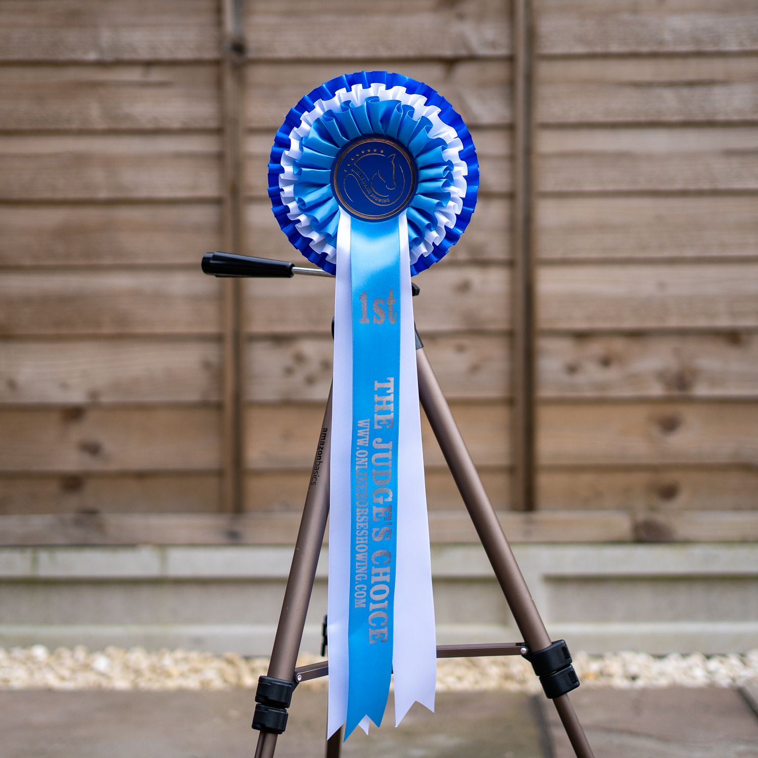 CLASS 18: THE JUDGE'S CHOICE