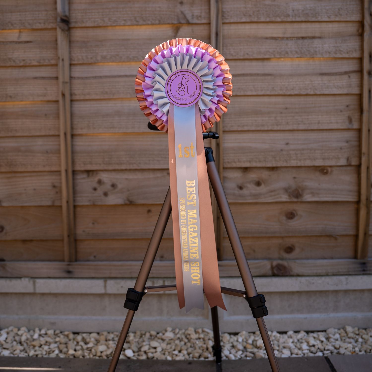 PET CLASS 1: BEST MAGAZINE SHOT