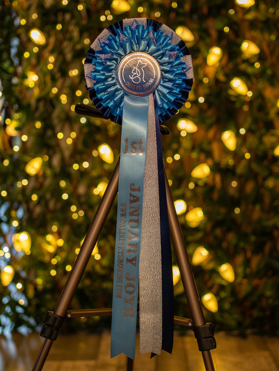 PET CLASS 12: JANUARY JOYS